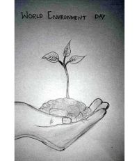 Environment Day